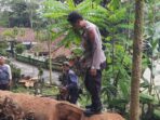 IMG-20220628-WA0001