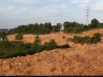 IMG-20220713-WA0072