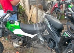 IMG-20240220-WA0031