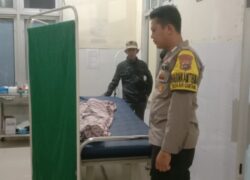 IMG-20240519-WA0002