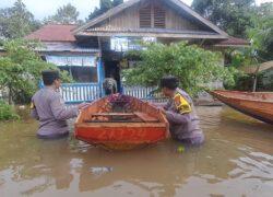 WhatsApp Image 2024-05-29 at 21.35.33 (1)