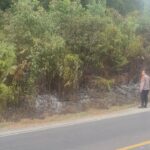 IMG-20240802-WA0287