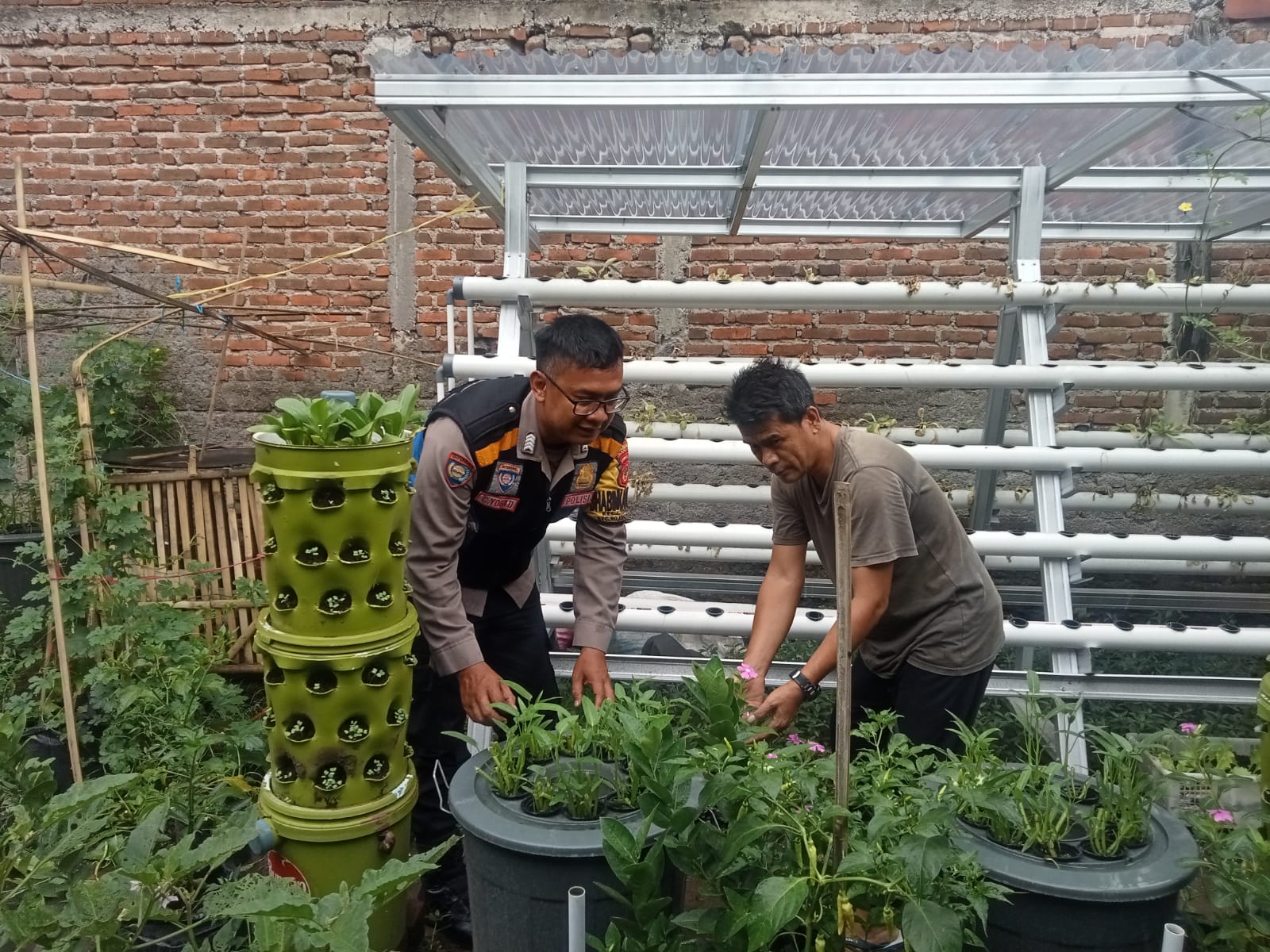 IMG-20241112-WA0309
