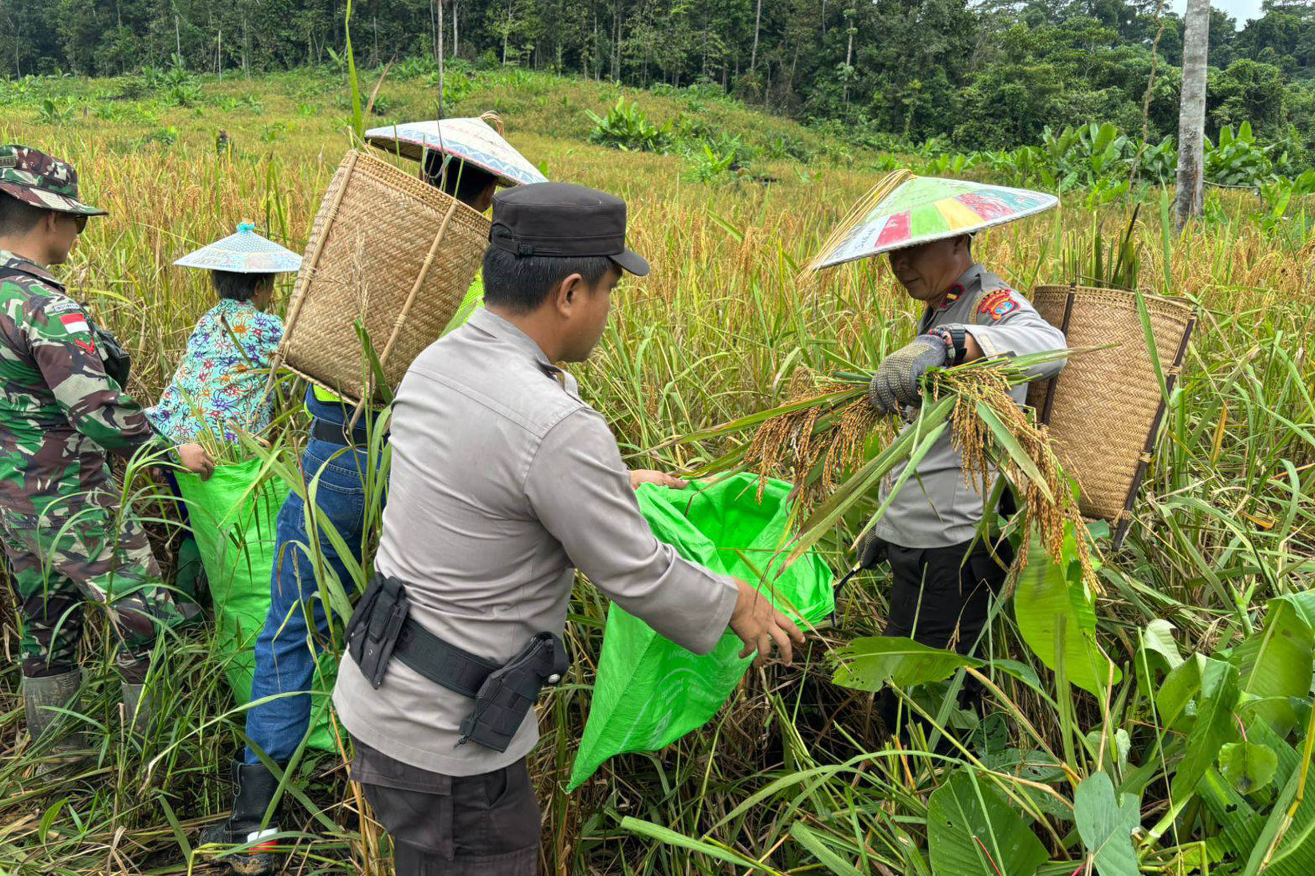 WhatsApp Image 2025-02-05 at 12