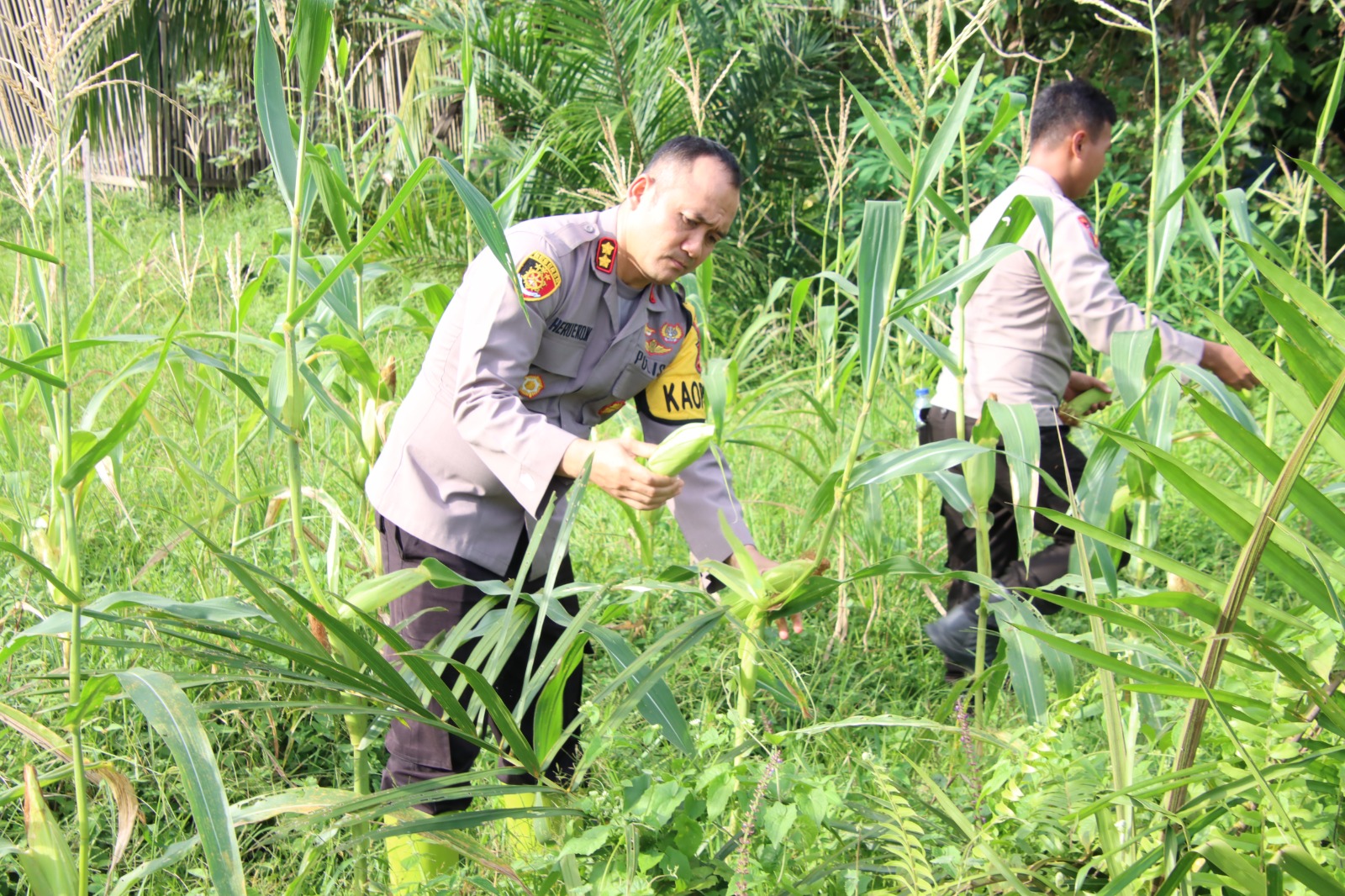 WhatsApp Image 2025-03-11 at 09.47.36