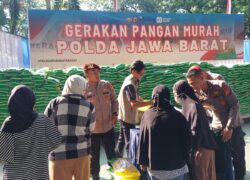 IMG-20250817-WA0013